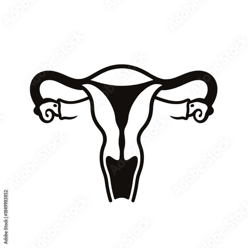 Female reproductive system anatomical illustration.