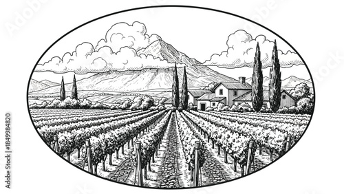 An oval illustration depicts a vineyard with rows of grapevines leading towards a farmhouse, with cypress trees and a mountain range in the background under a cloudy sky.
