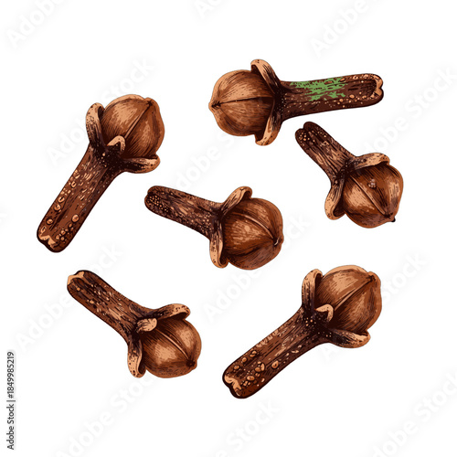 Hand-drawn illustration of cloves isolated