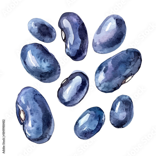 minimal yet artistic elements for creative designs. hand-drawn paint, Simple Illustration, A beautiful painting of navy beans set, EPS format, isolated on a white background, watercolor style