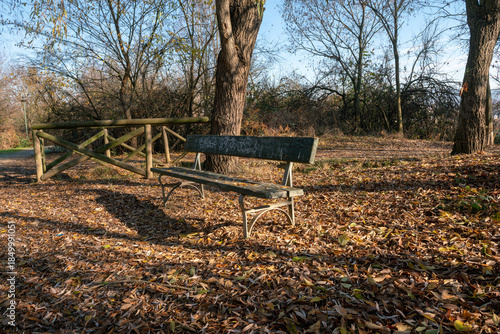 Wooden bench in a public park during autumn. Warm-colored fallen leaves cover the ground, creating an atmosphere. A quiet urban space immersed in seasonal and silent nature. changing seasons, weather