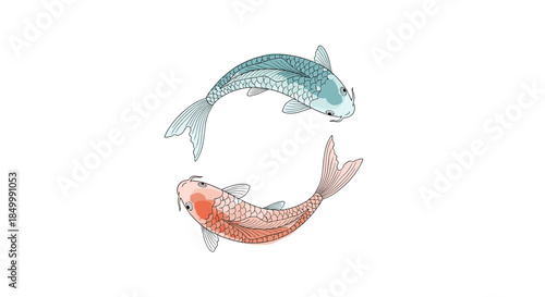 Two Japanese koi carp fish swimming in a circle representing the yin and yang symbol for balance and harmony.