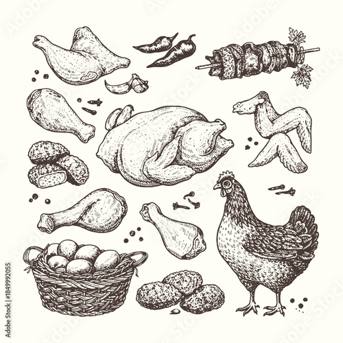 Vintage hand drawn chicken and egg food illustration set in black and white engraving style, farm poultry vector collection for agriculture, food design, and editorial use
