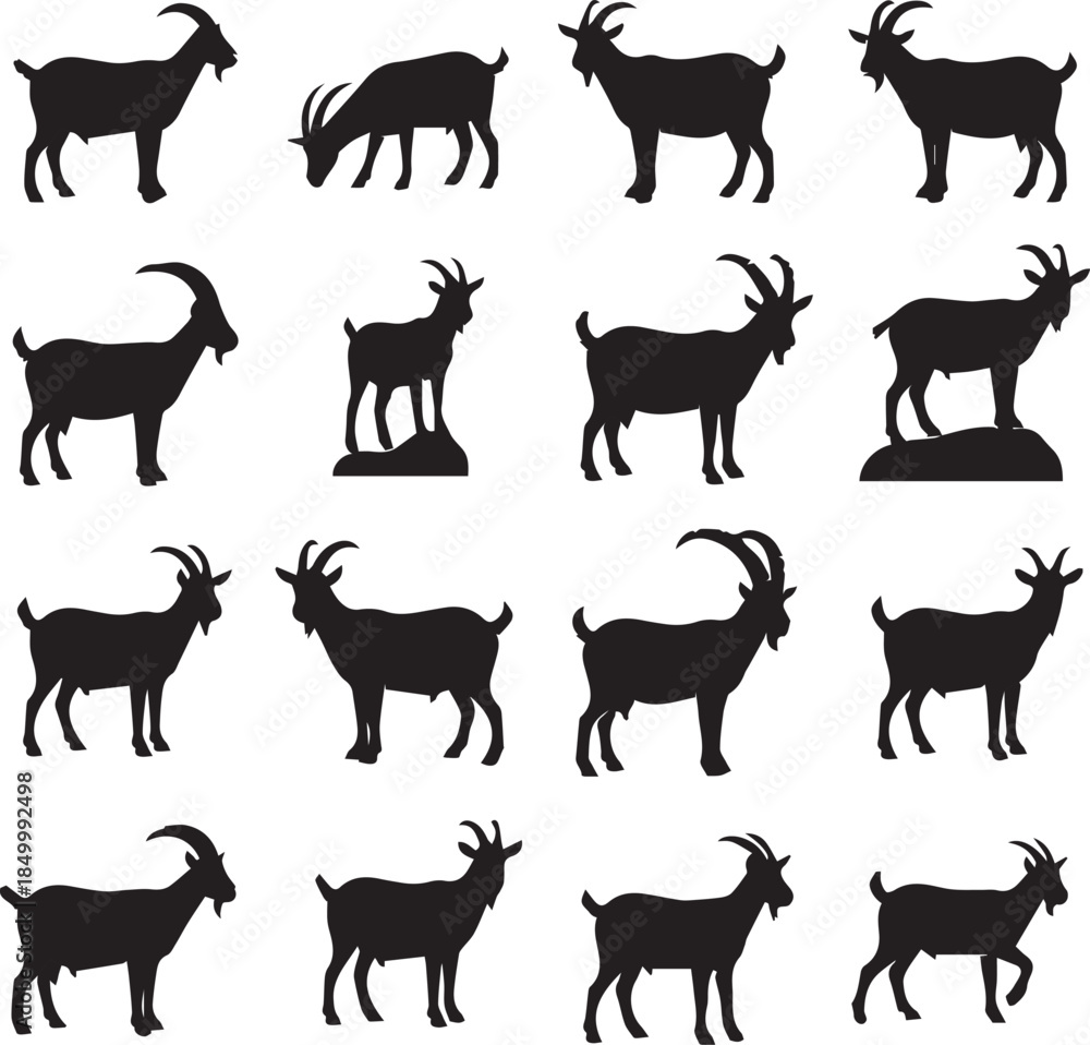 Obraz premium farm animals silhouettes