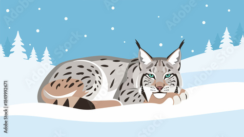 Bobcat resting in a snowy winter landscape with evergreen trees and a blue sky