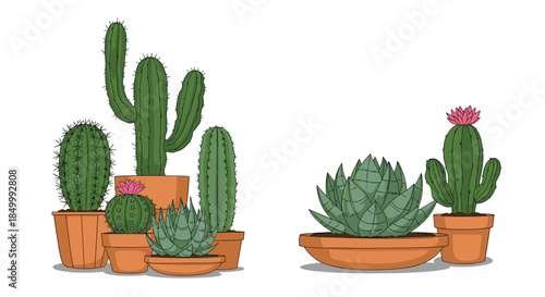 A collection of two beautiful compositions with various hand-drawn cactus and succulent plants in brown terracotta pots.