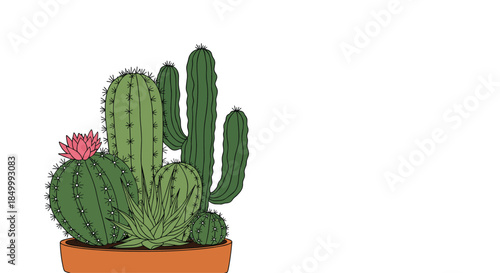 A beautiful hand-drawn composition of various green cactus and succulent plants in a single terracotta pot illustration.