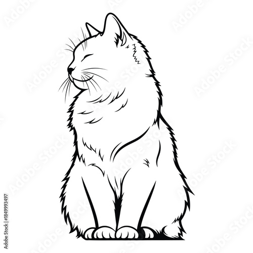 fluffy cat sitting with closed eyes and smiling face