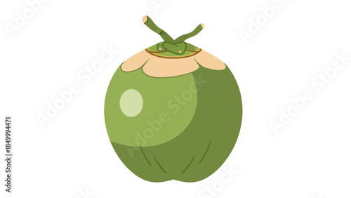 A cartoon illustration of a fresh green coconut with a light brown top, isolated on a white background.