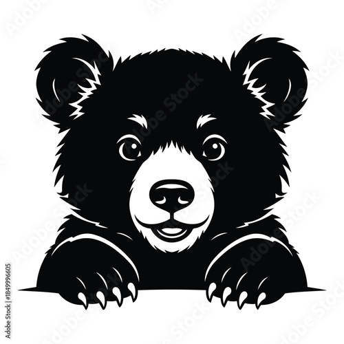 cute black bear cub peeking from behind a surface