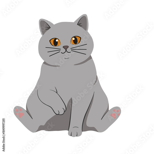 Gray British Shorthair cat, sitting on hind legs (human-like pose), one paw raised/bent, pink paw pads visible, neutral/friendly expression.