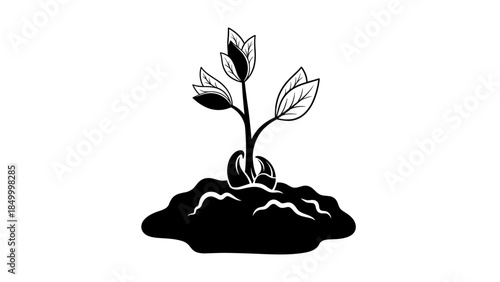 Seedling Growing Out of Soil Illustration.