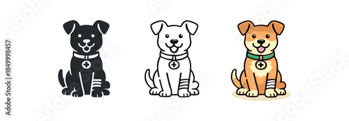 veterinary first aid dog wearing small medical bandage on leg