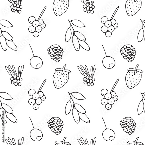 Berries seamless pattern hand drawn vector illustration