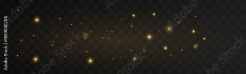 Golden dust shimmer floats lightly, creating a refined glowing ambience. Minimal sparkles enhance clarity, richness, and depth. Perfect for modern elegant designs vector