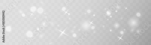 Glowing white dust floats gently across the background. Tiny sparkling particles add softness and magic. Perfect for elegant holiday overlays and seasonal designs vector