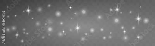 White luminous dust drifts gently with tiny sparkling particles. Calm magical effects fill the scene with winter charm. Perfect for holiday and minimal winter overlays vector
