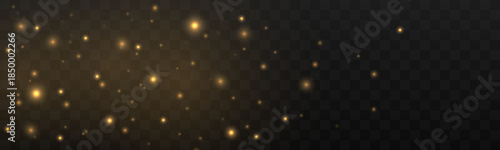 Golden dust particles float softly, forming a warm radiant veil. Subtle shimmering motion adds elegance, depth, and calm sophistication. Ideal for refined luxury visuals vector