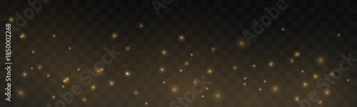 Golden dust shimmer flows subtly, forming a refined luminous atmosphere. Minimal sparkles enhance clarity, depth, and premium elegance. Perfect for abstract luxury designs vector