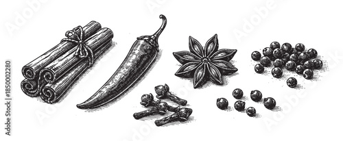 A scratchboard illustration displays a collection of common culinary spices including cinnamon sticks tied with twine, a chili pepper, star anise, cloves, and peppercorns on a white background.