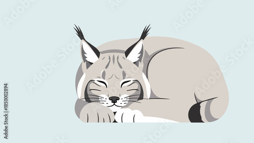 Resting bobcat in a relaxed diagonal pose with head on paws and tail extended to the right