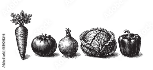 A detailed line art illustration in a vintage engraving style showcases a collection of fresh vegetables including a carrot, tomato, onion, cabbage, and bell pepper against a clean white background.