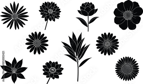 Floral and plant silhouettes, ten botanical forms, petal and leaf variations, black and white art, elegant motif, design elements