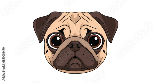 Close up portrait of a cute pug dog showcases detailed facial features and big dark eyes on a simple white background.