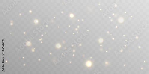 Golden dust particles float softly, forming a warm radiant haze. Subtle glowing motion adds elegance, depth, and visual harmony. Ideal for abstract luxury visuals vector