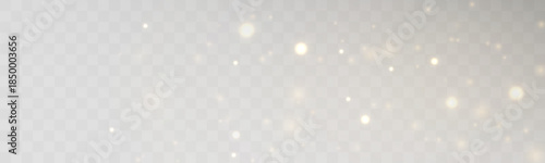 Golden dust shimmer floats gently, creating a refined glowing atmosphere. Minimal sparkles enhance clarity, richness, and balance. Perfect for modern elegant designs vector