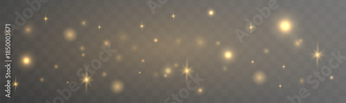 Golden dust shimmer spreads gently, shaping a delicate glowing field. Minimal sparkles add clarity, depth, and premium elegance. Perfect for refined modern designs vector