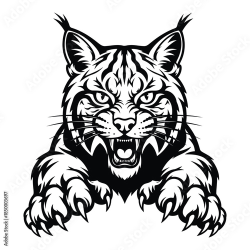 Black and white illustration of a tiger with aggressive facial expression and sharp claws outstretched