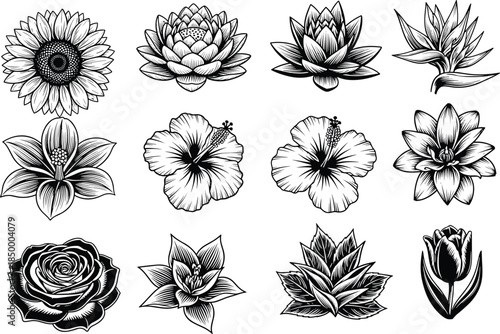 Floral silhouette grid, twelve flower types, botanical diversity, petal detail, black and white art, elegant motif, tattoo design