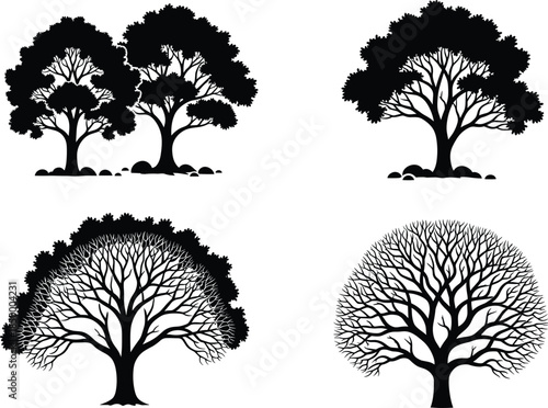 Set of detailed deciduous tree silhouettes including oak and maple with various branch structures and leaf density isolated on white background flat vector illustration