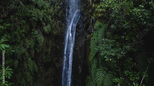 Serene Waterfall Cascading Through Lush Green Forest.