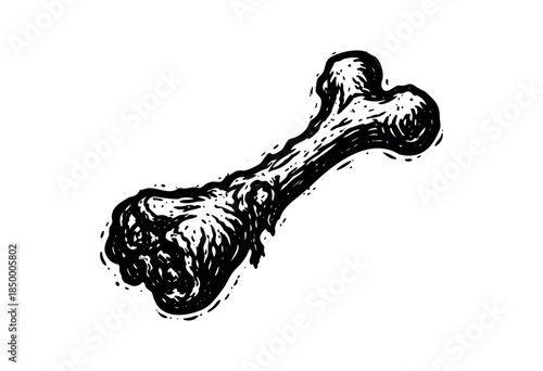 A striking, hand-drawn illustration of a single bone in bold black ink on a crisp white background, conveying a simple yet impactful graphic style.