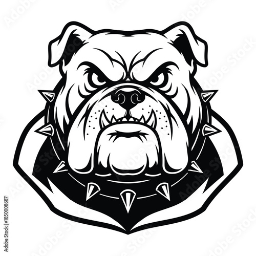 angry bulldog head with spiked collar on transparent background
