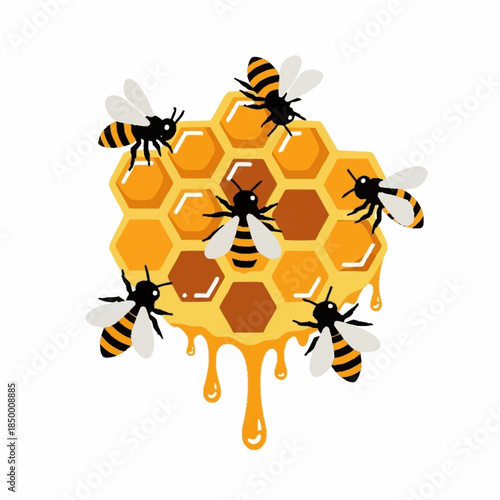Honey Bees on a Dripping Honeycomb.