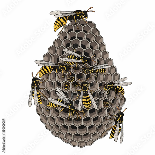 Close up of a wasp nest with several wasps on it.