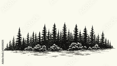 Row of pine trees in misty forest landscape silhouette vector sketch
