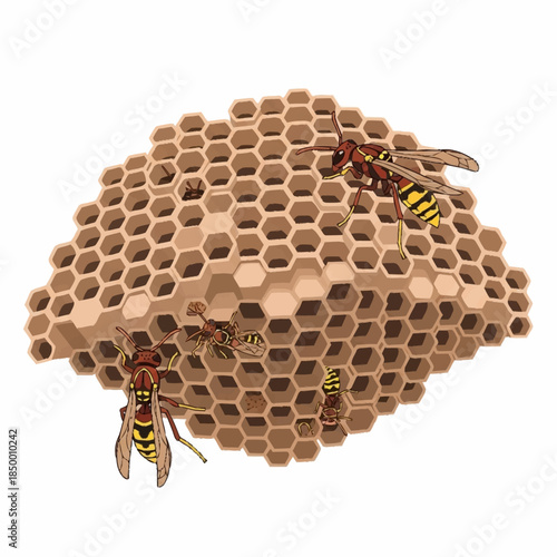 Close-up of a Wasp Nest with Several Wasps Crawling on its Honeycomb Structure.