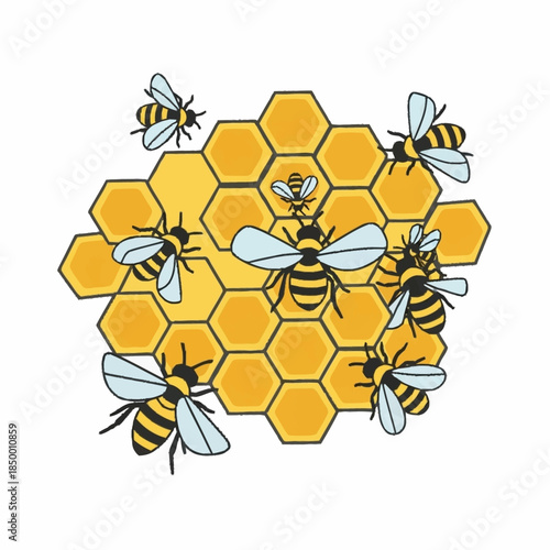 Honeybees and Honeycomb Illustration.