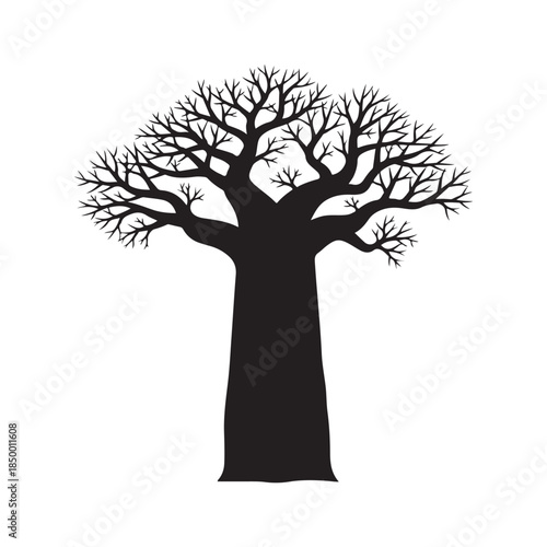Black silhouette of a majestic baobab tree with intricate bare branches