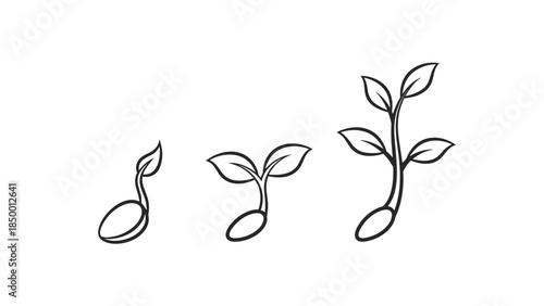 Simple Line Drawings of Seedlings Growing Stages.