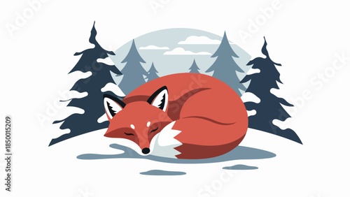 Red fox sleeping in snowy winter landscape with evergreen trees and blue sky