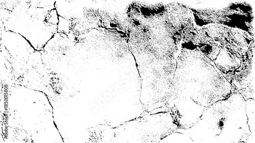 Black texture on white. Worn effect backdrop. Grunge background. Abstract pattern. Vector illustration