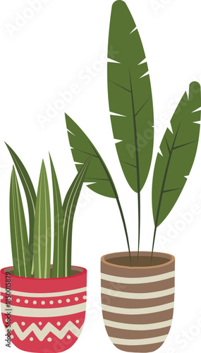 Vector illustration of decorative indoor potted plants in modern flat style