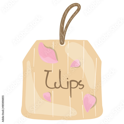 pink, tulip people, blue tulip, tulip festival, spring, red tulip, tulips, botanical, decoration, flowers, blossom, nature, tulips type, purple tulip, tulip illustration, tulip icon, tulip, pink tulip