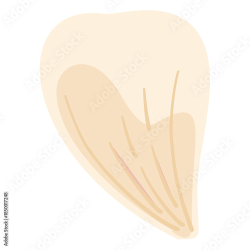 pink, tulip people, blue tulip, tulip festival, spring, red tulip, tulips, botanical, decoration, flowers, blossom, nature, tulips type, purple tulip, tulip illustration, tulip icon, tulip, pink tulip