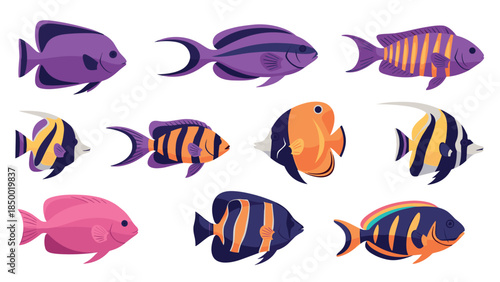Colorful tropical fish collection on white background